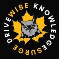 drivewise logo image