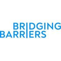 bridging barriers logo image