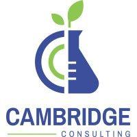 cambridge consulting services logo image