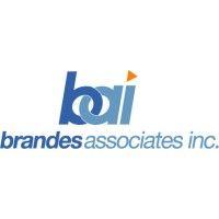 brandes associates inc. logo image