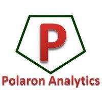 polaron analytics logo image