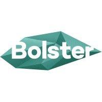 bureau bolster logo image