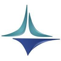 velankani information systems, inc logo image