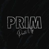 prim logo image