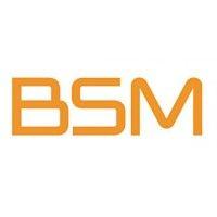 bsm (british school of motoring)