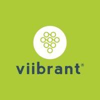 viibrant logo image