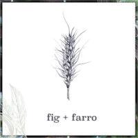 fig + farro logo image