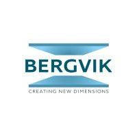 bergvik group logo image