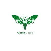 cicada capital