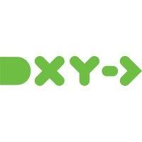 dxy solutions, llc logo image