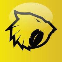 houston sabercats rugby logo image