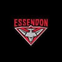 essendon football club logo image