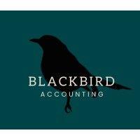 blackbird accounting llc logo image