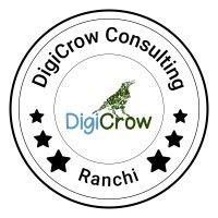 digicrow consulting logo image