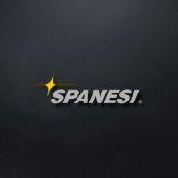 spanesi spa logo image