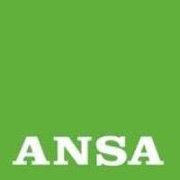 ansa logo image