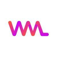 wml it solutions pvt ltd logo image