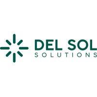 del sol solutions logo image