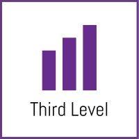 third level france logo image