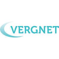 vergnet logo image