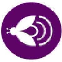 purple fly ltd logo image