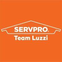 servpro team luzzi logo image