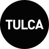 tulca festival of visual arts logo image