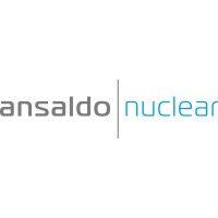 ansaldo nuclear logo image