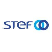 stef logo image