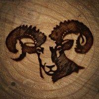 blacksheep regenerative resource management logo image