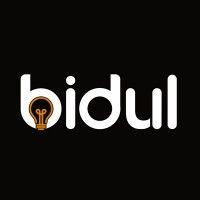 bidul ltd logo image