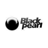 black pearl consultancy logo image