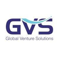 global venture solutions inc