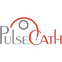 pulsecath bv