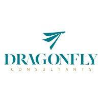 dragonfly consultants logo image