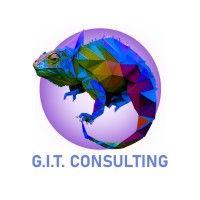 get it tech consulting logo image