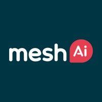 mesh ai logo image