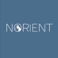 norient advisors limited logo image