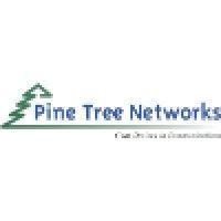 pine tree networks logo image