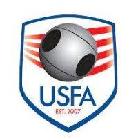 united states fistball association logo image