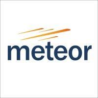 meteor asset management logo image