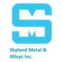 skyland metal & alloys inc logo image