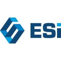 engineering systems inc. (esi)