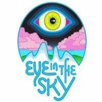 eye in the sky llc.