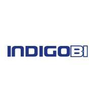 indigobi ab logo image