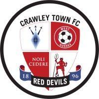 crawley town community foundation logo image