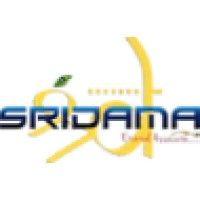 sridama business solutions pvt ltd. logo image