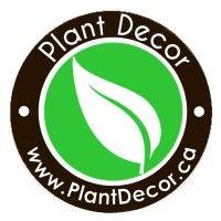 plant decor logo image