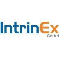 intrinex gmbh logo image