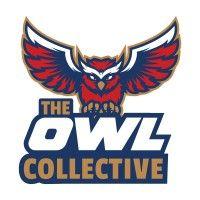 the owl collective